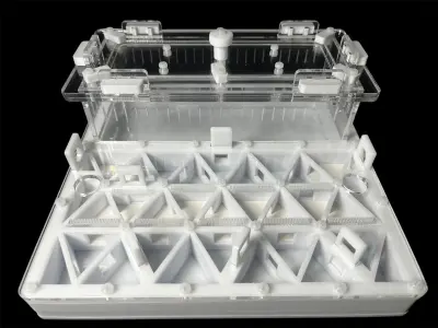 Мурашина ферма ANTMART Trigon White А 200×200 мм, частковий гіпс Г23