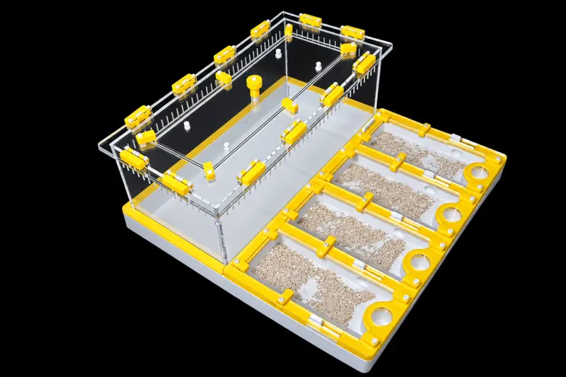 Професійна мурашина ферма Core Yellow 30×30 см, гіпс 10 мм, 20 мм над гіпсом