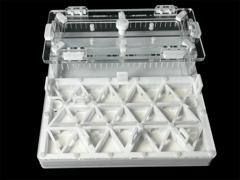 Муравьиная ферма ANTMART Trigon White, вариант B, 200×200 мм