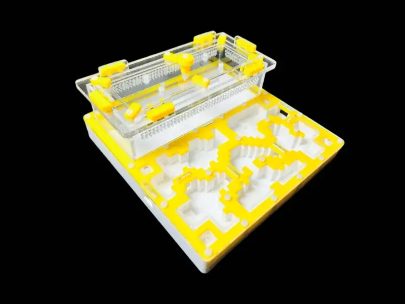 Муравьиная ферма Pixel Yellow, вариант А, 200 × 200 мм
