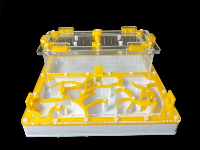 Муравьиная ферма ANTMART Origin Yellow A 200×200 мм