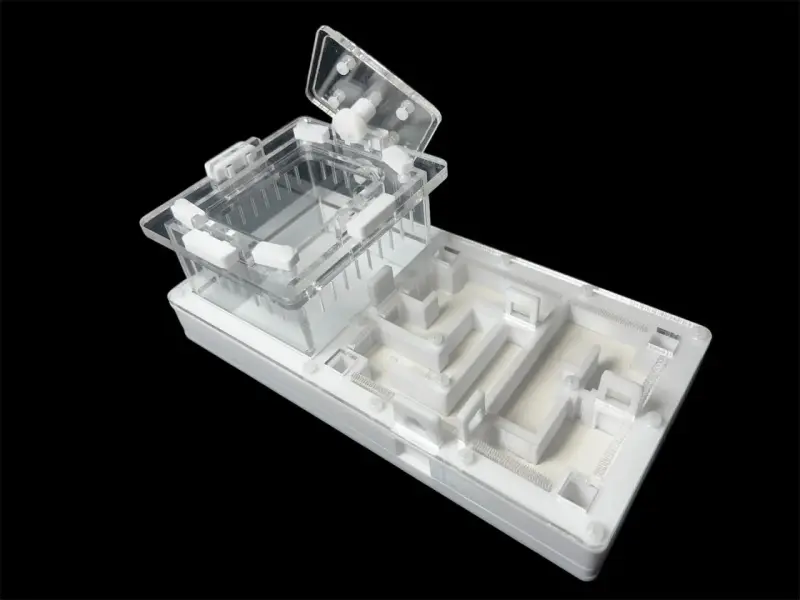Муравьиная ферма ANTMART Labyrinth White 220×110 мм, Вариант Б