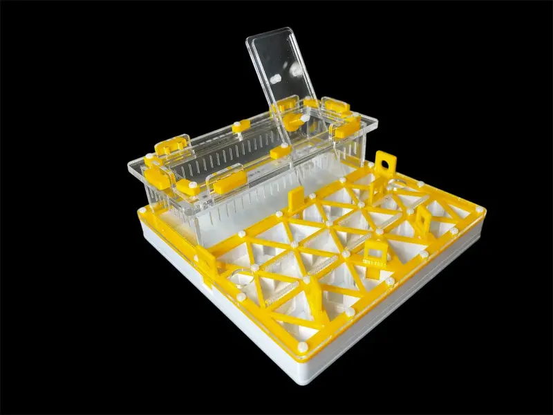 Муравьиная ферма ANTMART Trigon Yellow, вариант А, 200×200 мм