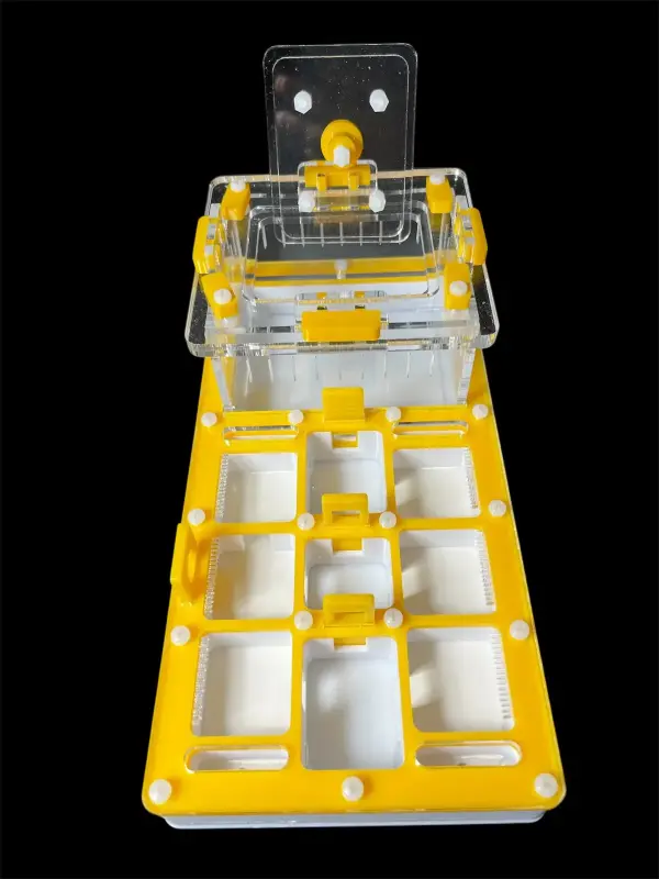 Муравьиная ферма ANTMART Apex Yellow, вариант A, 220×110 мм