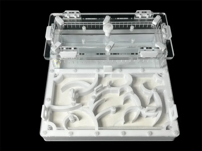 Муравьиная ферма ANTMART Origin White 200×200 Full Gypsum, вариант Б