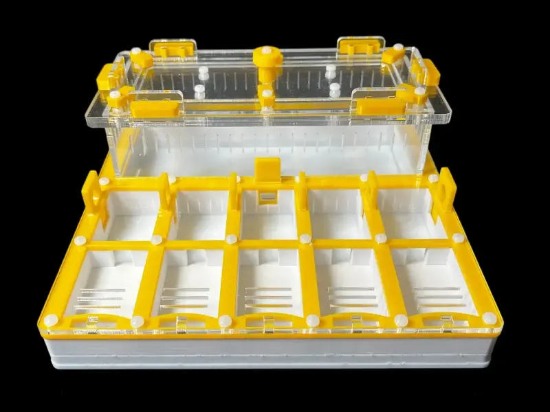 Муравьиная ферма ANTMART Grid Yellow 200х200, вариант А, PETG и гипс Г-23