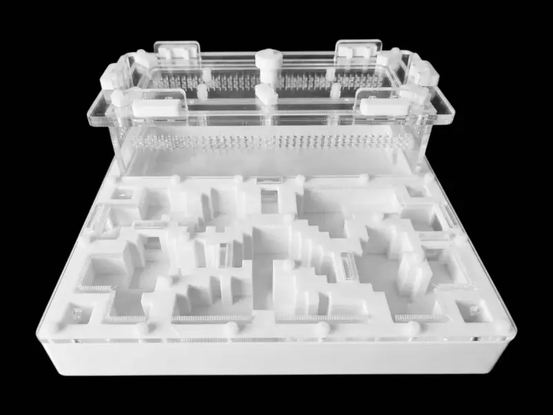Муравьиная ферма Pixel White A 200×200 мм, PETG, гипс G23 6 мм