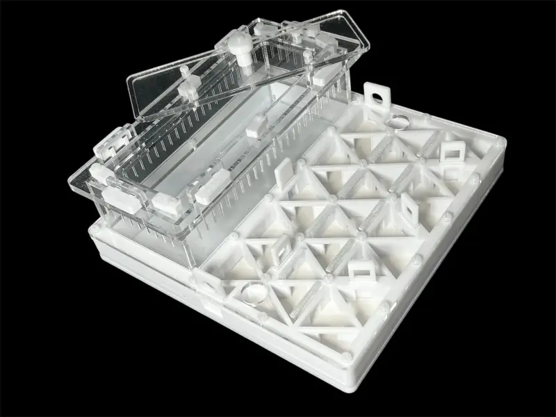 Муравьиная ферма ANTMART Trigon White, вариант B, 200×200 мм