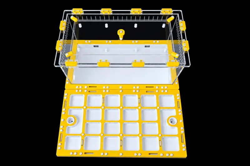 Модульна мурашина ферма Prism Yellow 300×360 мм, гіпс Г-23 6 мм, висота над гіпсом 15 мм