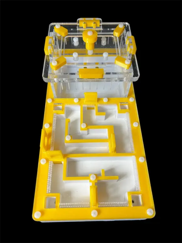 Муравьиная ферма ANTMART Labyrinth Yellow 220x110, вариант Б