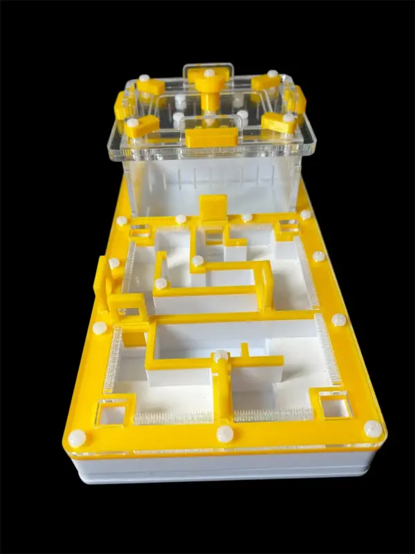 Муравьиная ферма ANTMART «Лабиринт Yellow» 220×110 мм, вариант A