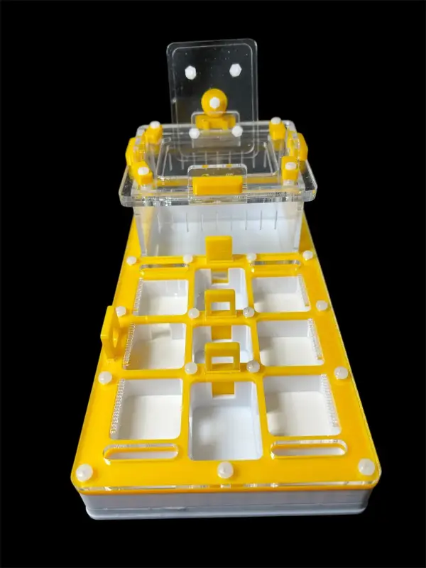 Муравьиная ферма ANTMART Apex Yellow, вариант A, 220×110 мм