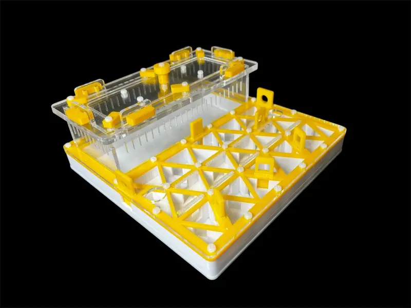 Муравьиная ферма ANTMART Trigon Yellow, вариант А, 200×200 мм