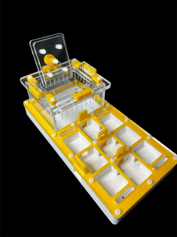 Муравьиная ферма ANTMART Apex Yellow Б, 220×110 мм