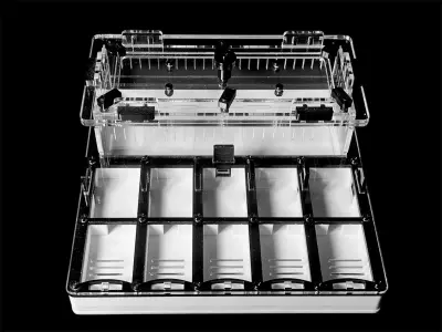 Гіпсова мурашина ферма ANTMART Grid Black 200×200, Варіант Б
