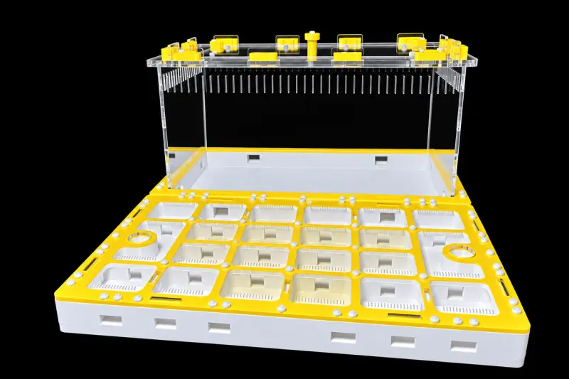 Модульна мурашина ферма Prism Yellow 300×360 мм, гіпс Г-23 6 мм, висота над гіпсом 15 мм