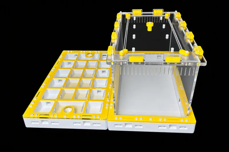 Модульна мурашина ферма Prism Yellow 300×360 мм, гіпс Г-23 6 мм, висота над гіпсом 15 мм