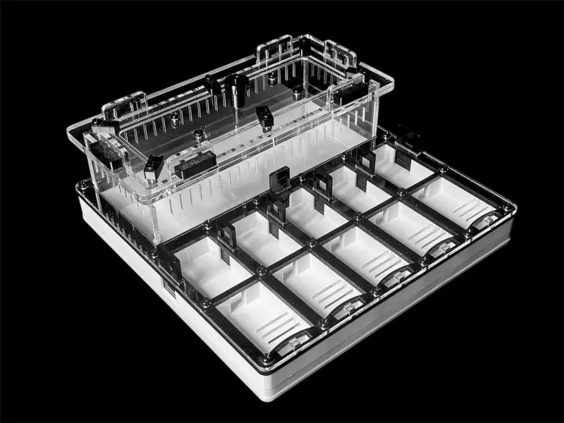 Гипсовая муравьиная ферма ANTMART Grid Black 200×200, Вариант Б