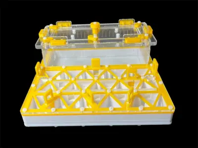 Мурашина ферма ANTMART Trigon Yellow, варіант А, 200×200 мм