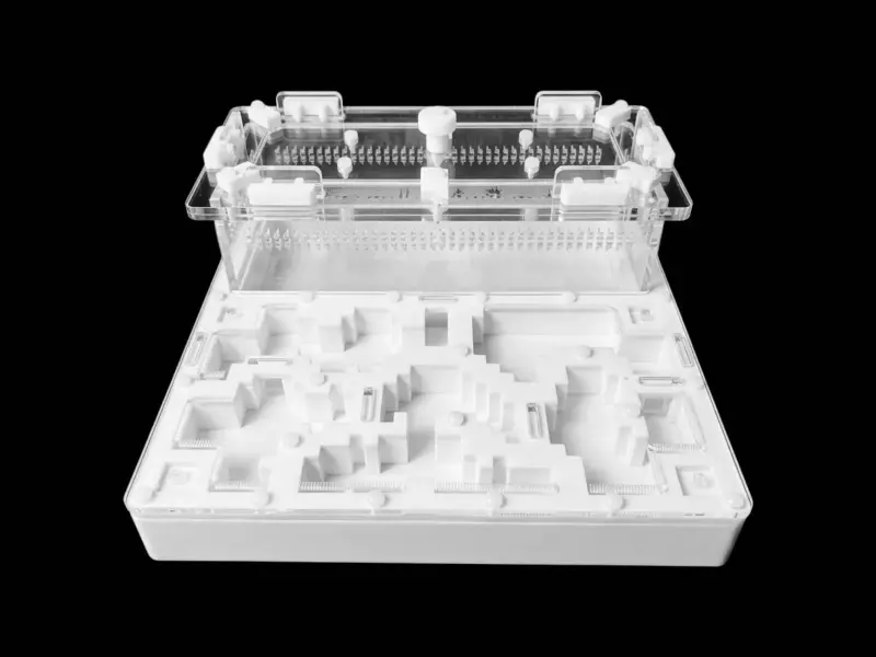 Муравьиная ферма Pixel White, вариант Б, 200×200 мм, гипс Г23 6 мм
