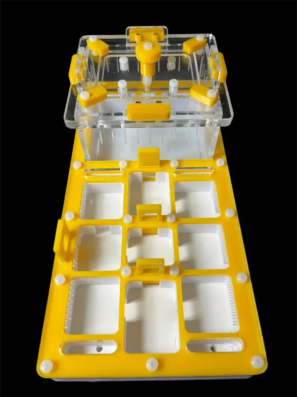 Муравьиная ферма ANTMART Apex Yellow Б, 220×110 мм