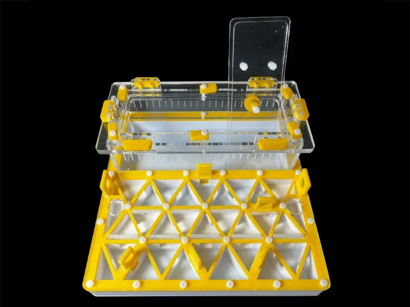 Муравьиная ферма ANTMART Trigon Yellow, вариант А, 200×200 мм