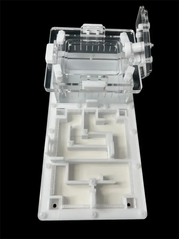 Муравьиная ферма ANTMART Labyrinth White 220×110 мм, Вариант Б