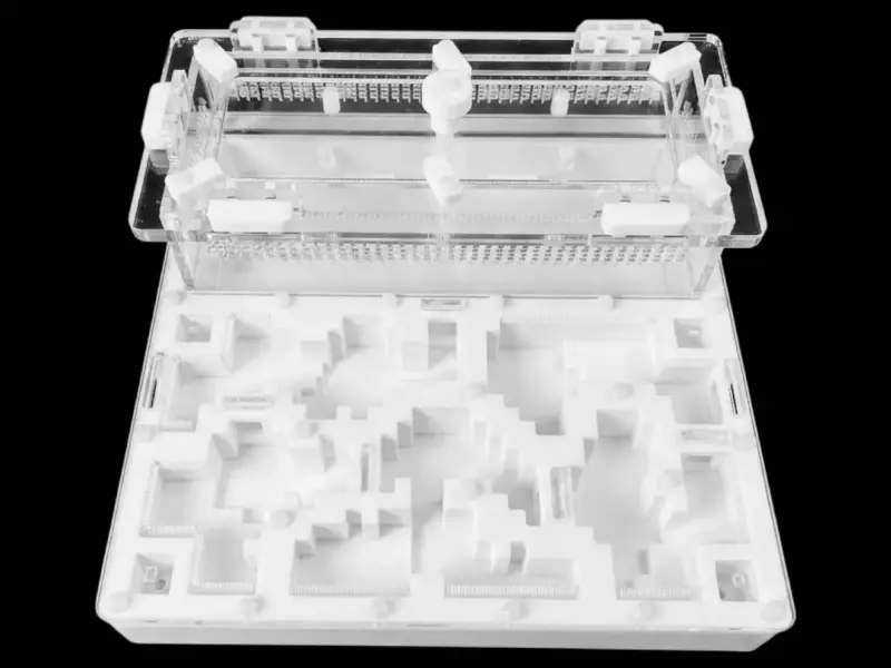 Муравьиная ферма Pixel White A 200×200 мм, PETG, гипс G23 6 мм