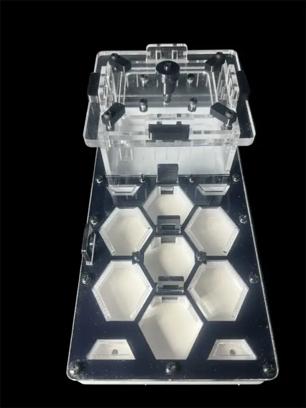 Муравьиная ферма ANTMART Соты Black 220x110, Вариант Б