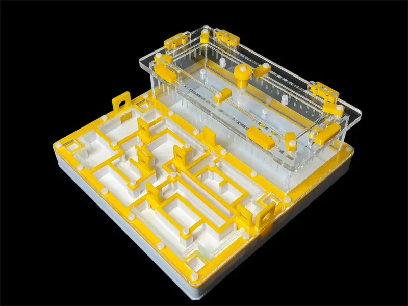 Муравьиная ферма ANTMART Лабиринт Yellow, вариант Б, 200×200 мм