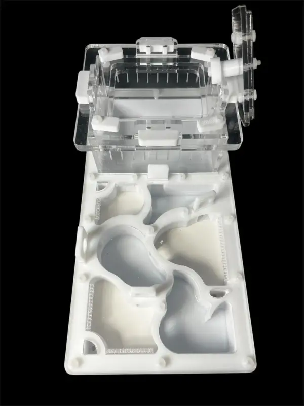 Формикарий ANTMART Organic White 220x110 мм, Вариант А