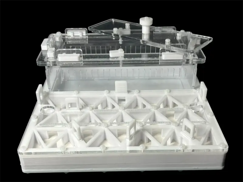 Муравьиная ферма ANTMART Trigon White, вариант B, 200×200 мм
