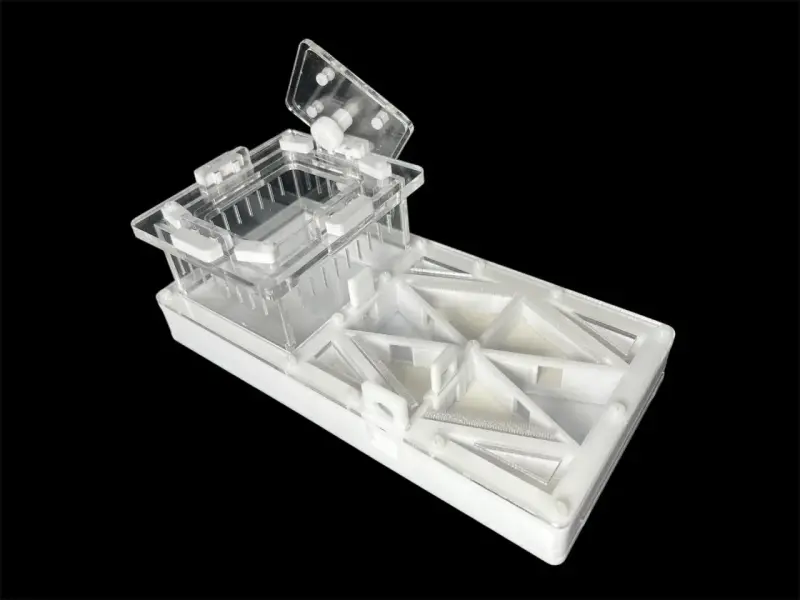 Муравьиная ферма ANTMART Flow White 220×110, вариант А