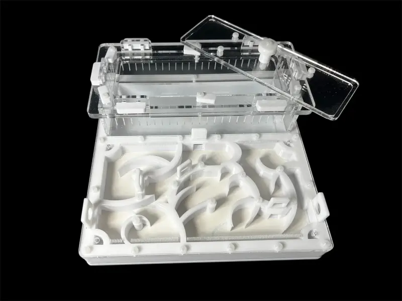 Муравьиная ферма ANTMART Origin White 200×200 Full Gypsum, вариант Б