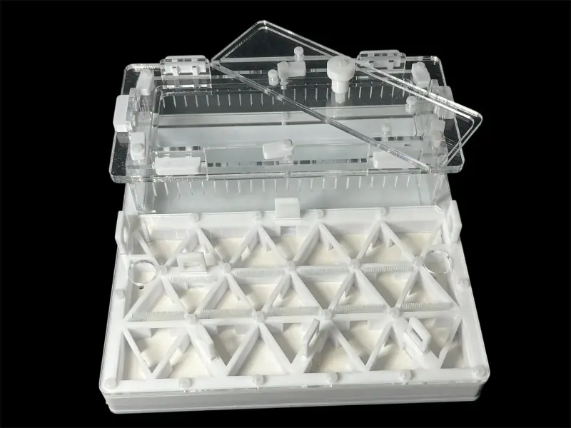 Муравьиная ферма ANTMART Trigon White, вариант B, 200×200 мм