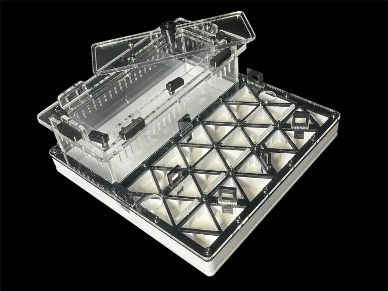 Муравьиная ферма ANTMART Trigon Black, вариант Б, 200×200 мм