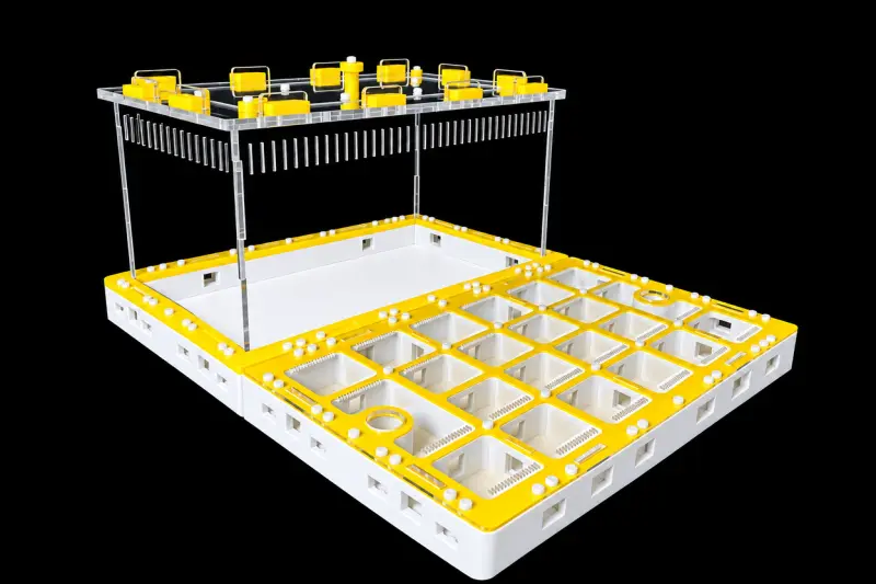 Модульна мурашина ферма Prism Yellow 300×360 мм, гіпс Г-23 6 мм, висота над гіпсом 15 мм