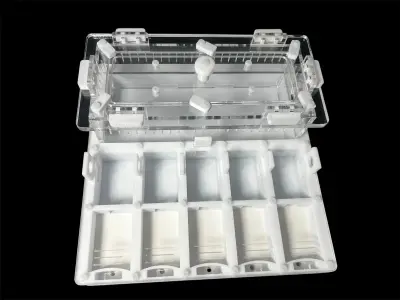 Мурашина ферма ANTMART Grid White 200×200 мм, Варіант А