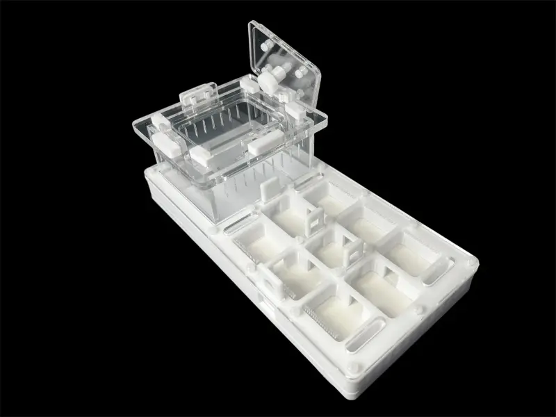 Муравьиная ферма ANTMART Apex White Б, 220×110 мм, сплошной гипс Г23
