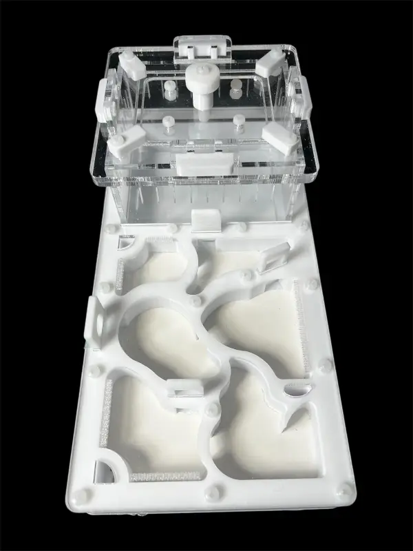 Муравьиная ферма ANTMART Organic White 220×110 мм, Вариант Б