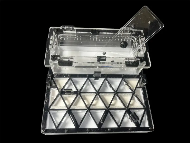 Муравьиная ферма ANTMART Trigon Black, вариант A, 200×200 мм