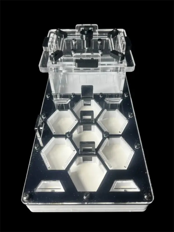 Муравьиная ферма ANTMART Соты Black 220x110, Вариант Б