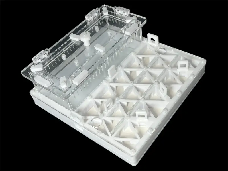 Муравьиная ферма ANTMART Trigon White, вариант B, 200×200 мм