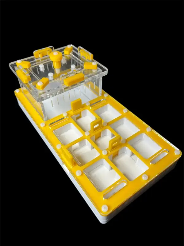 Муравьиная ферма ANTMART Apex Yellow Б, 220×110 мм