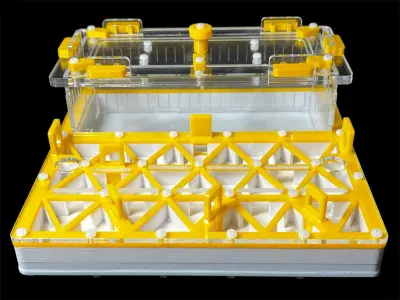 Мурашина ферма ANTMART Trigon Yellow Б 200×200 мм із суцільним гіпсом Г23