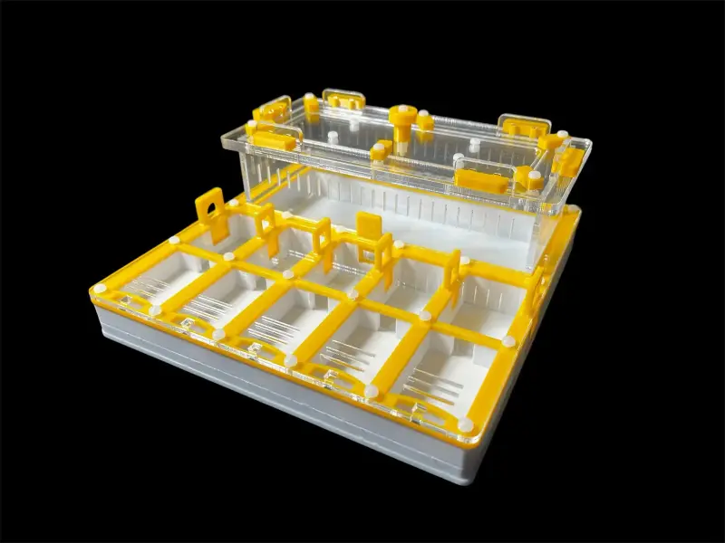 Муравьиная ферма ANTMART Grid Yellow 200х200, вариант А, PETG и гипс Г-23
