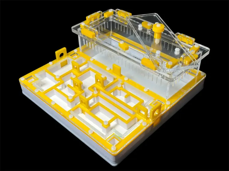 Муравьиная ферма ANTMART Лабиринт Yellow, вариант Б, 200×200 мм