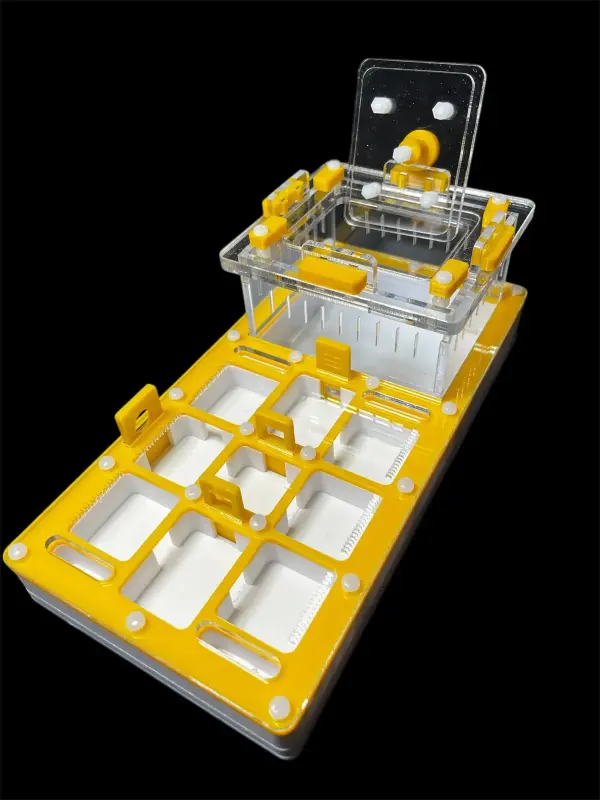 Муравьиная ферма ANTMART Apex Yellow Б, 220×110 мм
