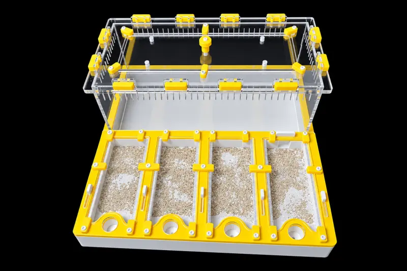Професійна мурашина ферма Core Yellow 30×30 см, гіпс 10 мм, 20 мм над гіпсом