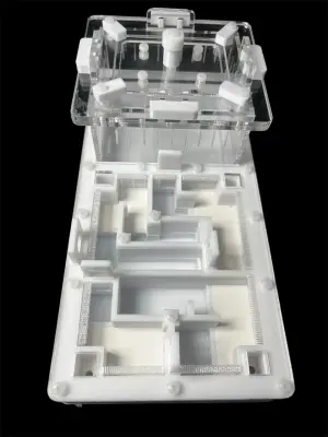 ANTMART Labyrinth White 220x110 mm Formicarium, Variant A